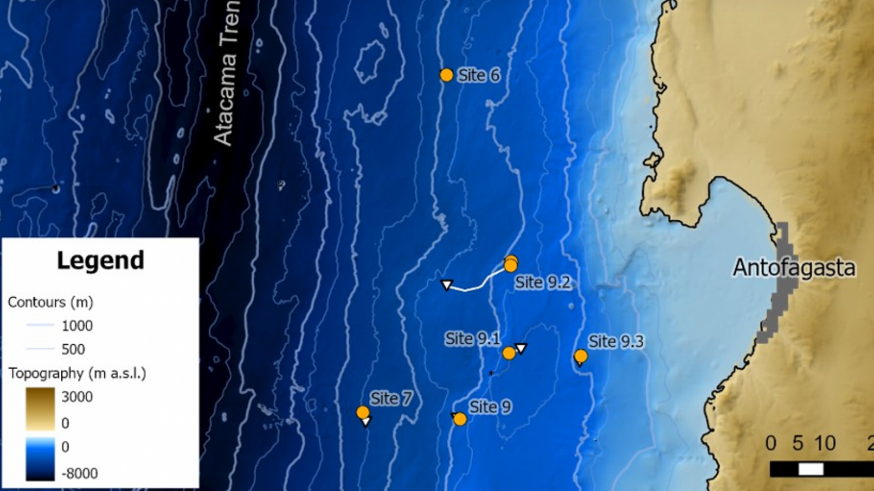 Hallan en Chile un ecosistema de azufre que abre nuevas vías a la investigación sobre vida extraterrestre