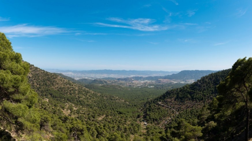 Conociendo Sierra Espuña. Ruta en bici desde Aledo