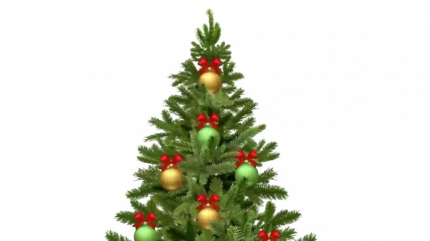 ESPECIAL NAVIDAD 2025