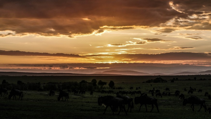 Atardecer en el Masái Mara, Kenia