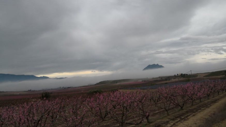 Los campos murcianos bajo la niebla. ORM