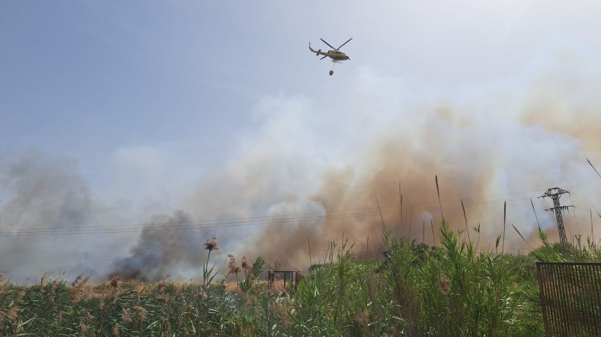 Los incendios forestales se multiplican este verano