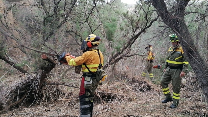 El fuego devora una parcela de terreno forestal en Los Ramos