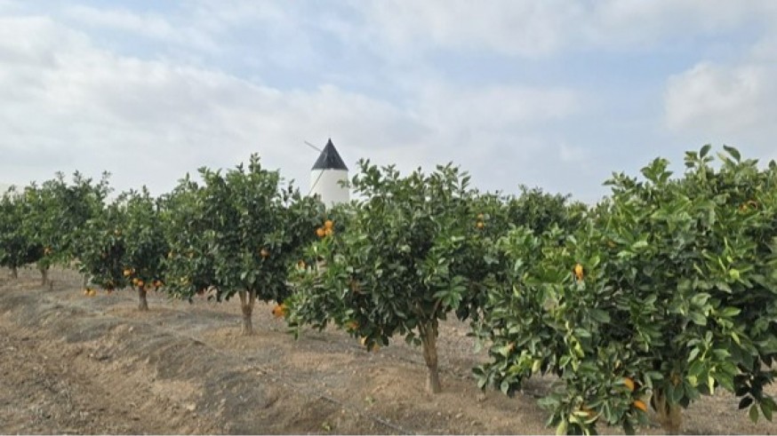 IMIDA: Investigación al servicio de la producción agraria de la Región de Murcia