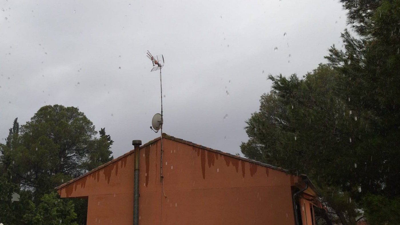 Precipitaciones "importantísimas" para garantizar la viabilidad de cultivos