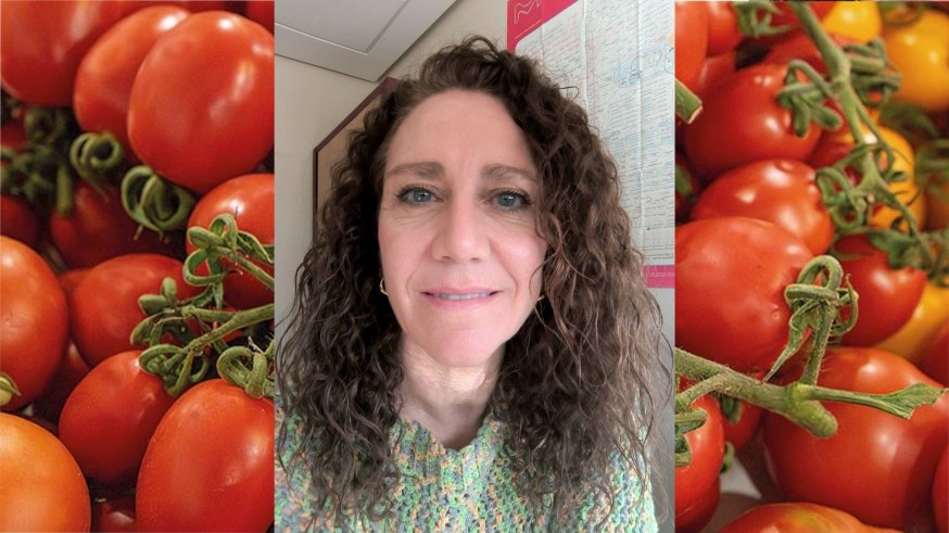 El tomate tradicional murciano y el uso de la melatonina frente al cambio climático