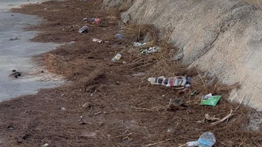 Los ayuntamientos de la Región de Murcia y la CHS intensifican la limpieza de ramblas ante el riesgo de lluvias torrenciales en otoño