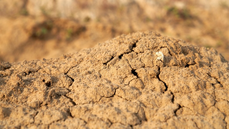 Jaime Martínez Valderrama (CSIC): “La desertificación en Murcia está yendo muy rápido”