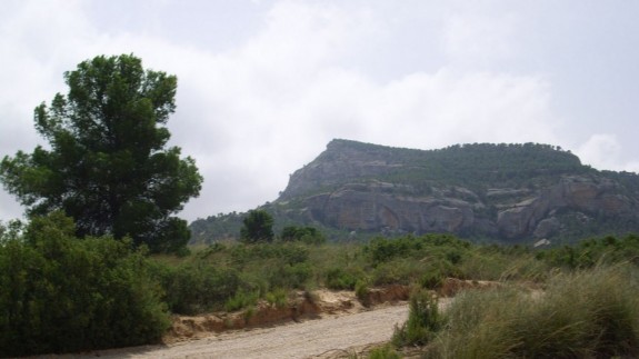 Imagen del Monte Arabí en Yecla