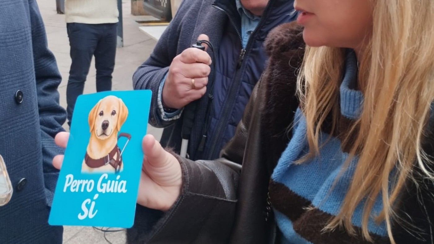 Murcia refuerza la accesibilidad en taxis para usuarios de perros guía