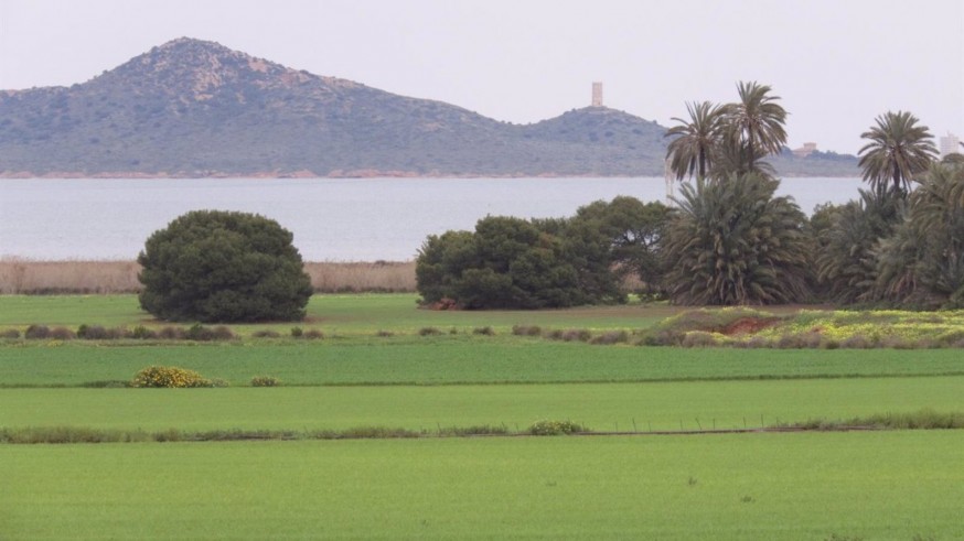 Agricultores de cultivo ecológico del Mar Menor servirán de guía para otros que quieran reconvertir plantaciones