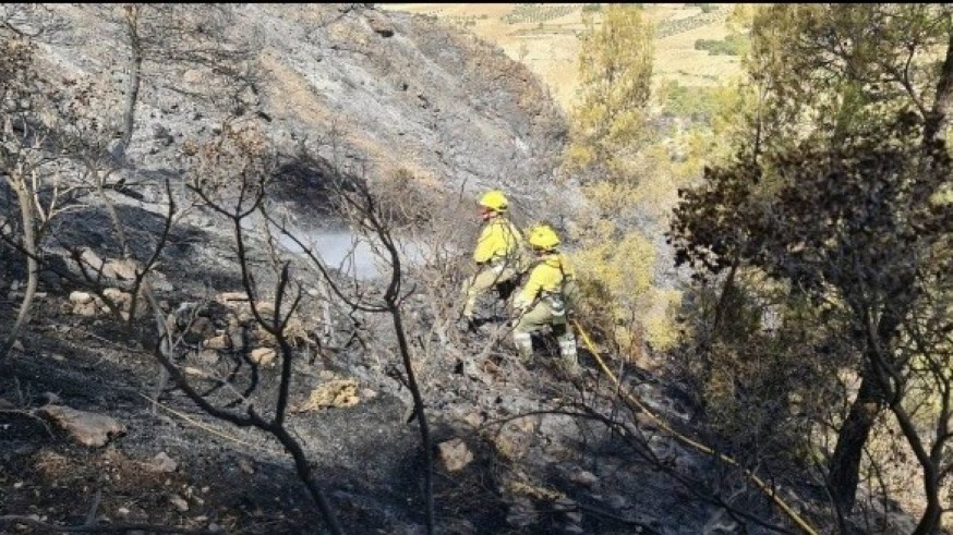Medio centenar de efectivos trabaja en la extinción del incendio de Jumilla, que continúa estable