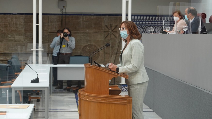 Isabel Franco durante su intervención en la Asamblea