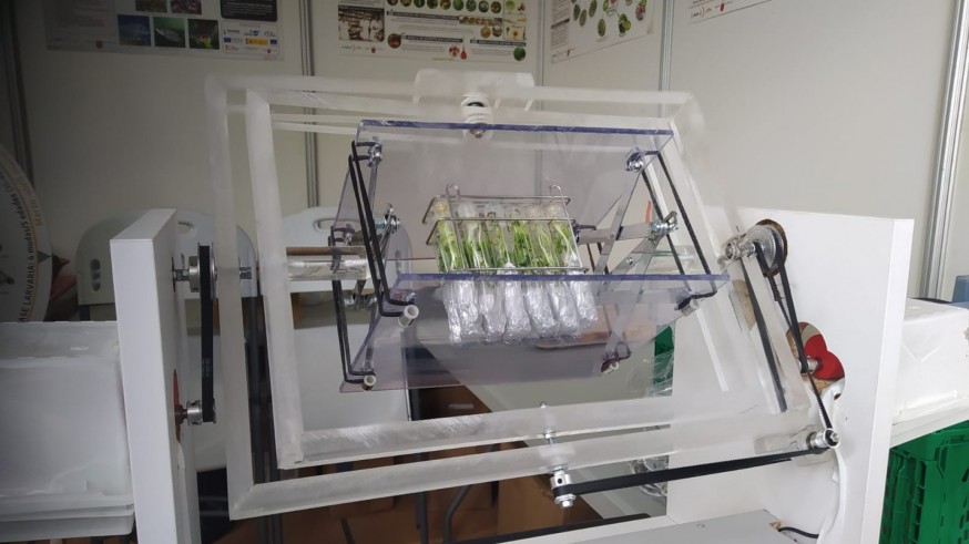 De Marte a la medicina del futuro: la Semana de la Ciencia, protagonista de Reacción en Cadena
