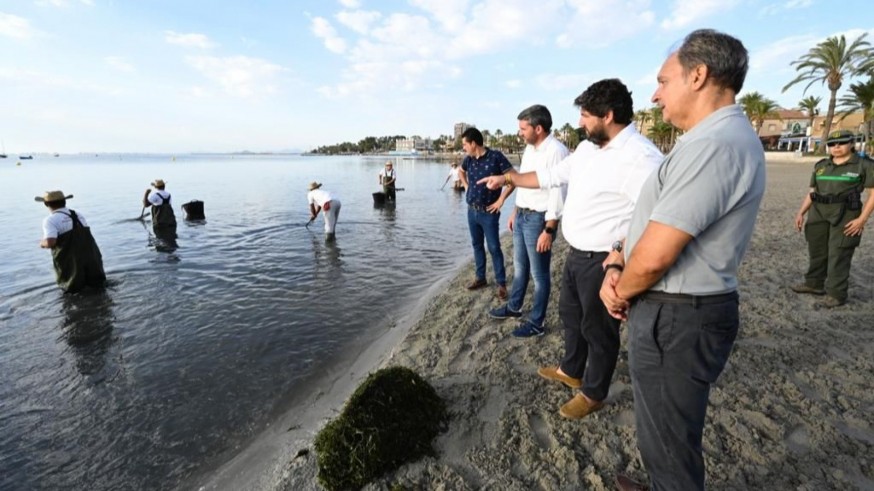 Miras: "La retirada diaria de biomasa ha supuesto un avance muy significativo en el estado del Mar Menor"