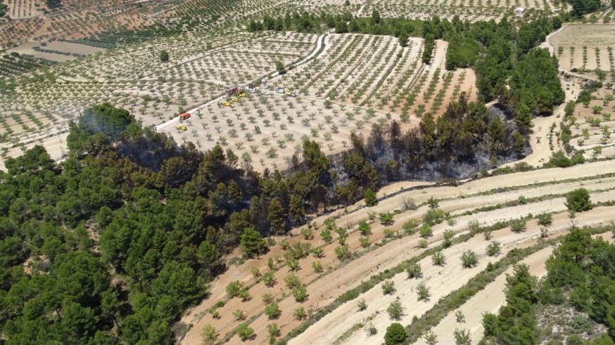 Extinguidos dos incendios en Mazarrón y en Bullas