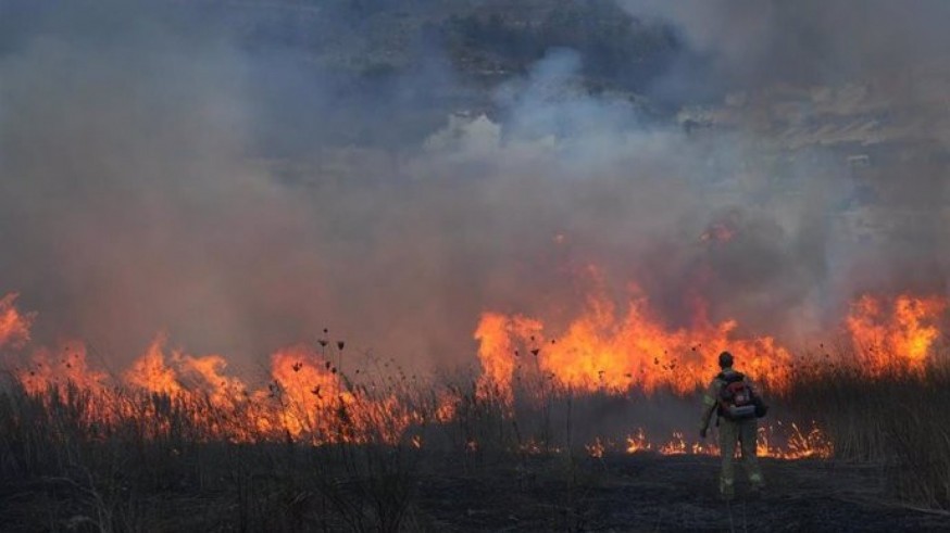 9 de cada 10 fuegos forestales se quedan en conato