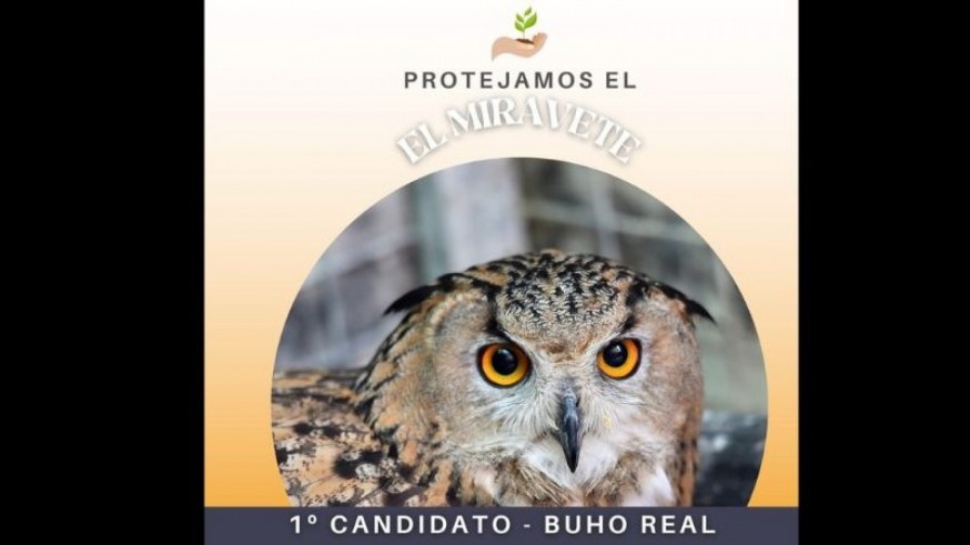 Vecinos de Torreagüera "hacen campaña" por el proyecto de Protección del Miravete