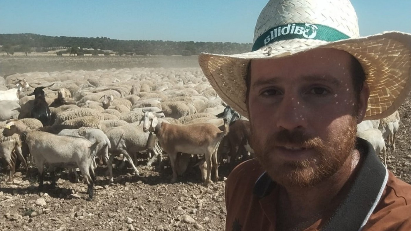 Pastoreo como herramienta para luchar contra los incendios