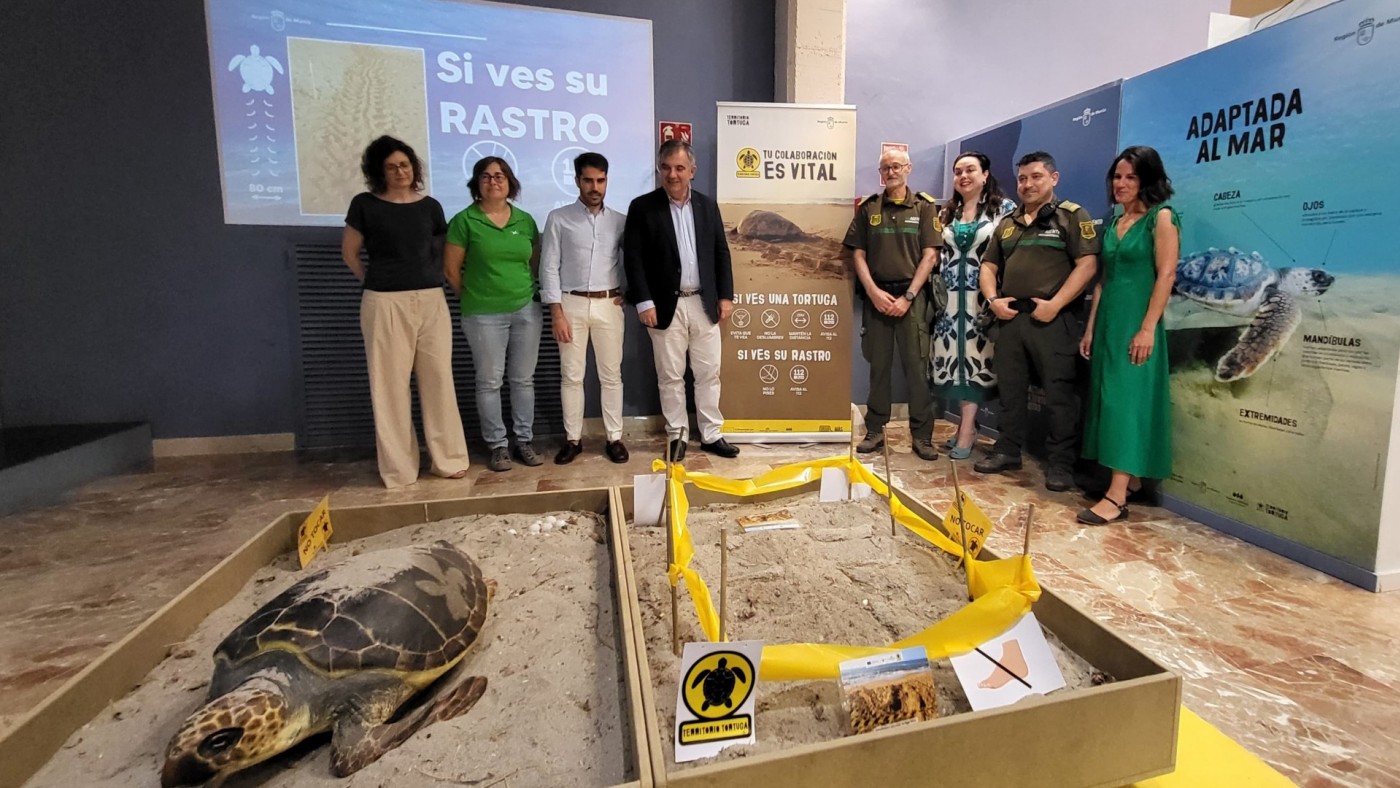 El museo de la Ciencia de Murcia acoge una exposición sobre la tortuga boba