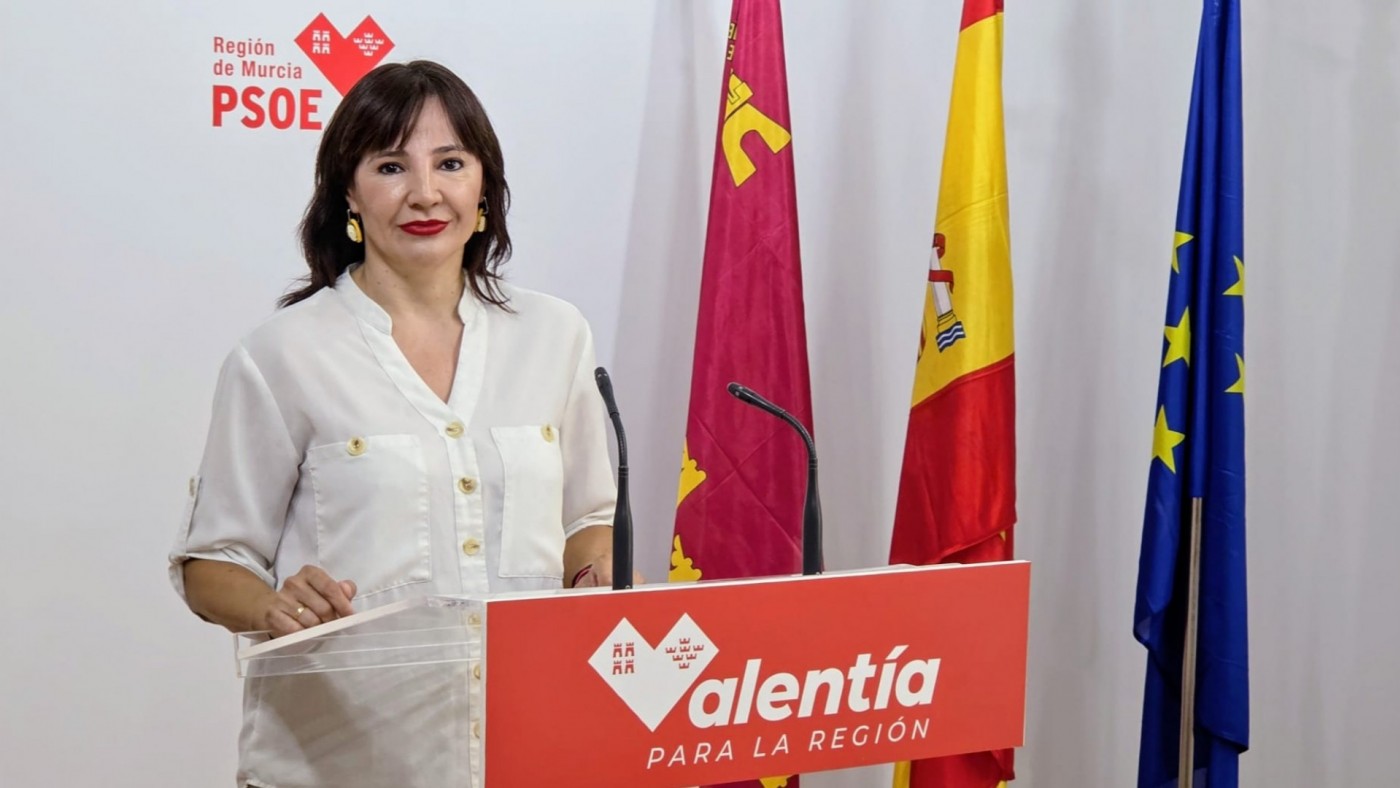 El PSOE exige una auditoría independiente de todas las prótesis vasculares implantadas en la Región para esclarecer el alcance del fraude