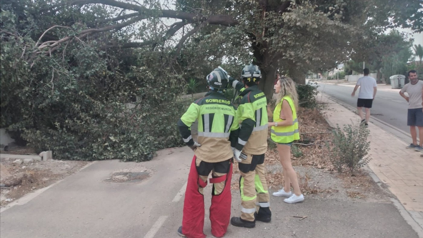 Seis tornados en Purias causan caídas de ramas y contenedores