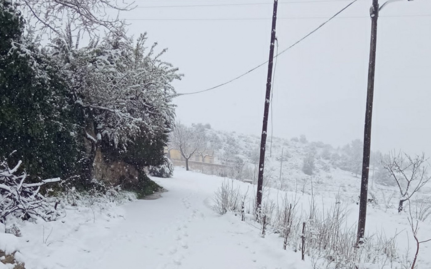 GALERÍA DE IMÁGENES | Nieve en el Noroeste de la Región de Murcia