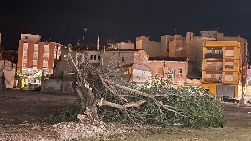 Las fuertes rachas de viento arrancan el tejado de una vivienda y un árbol en Lorca
