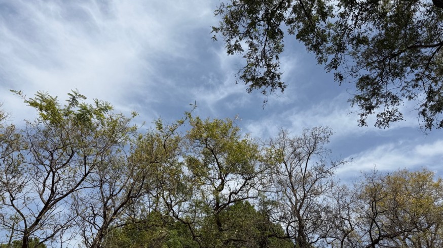 Preocupación entre los sardineros por la previsión de "chubascos ocasionales" el sábado