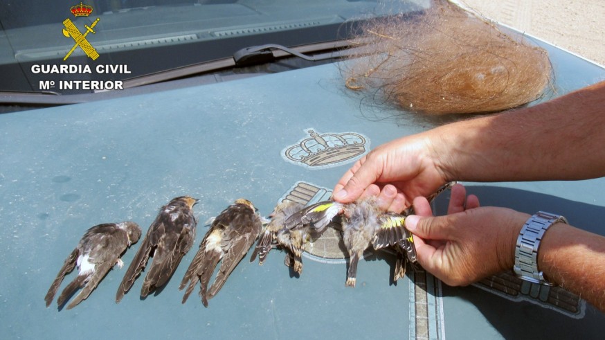 La Guardia Civil identifica a un cazador furtivo de aves fringílidas