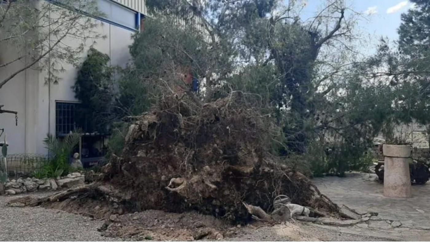 Yecla inicia la limpieza y reparación tras el fuerte temporal de viento