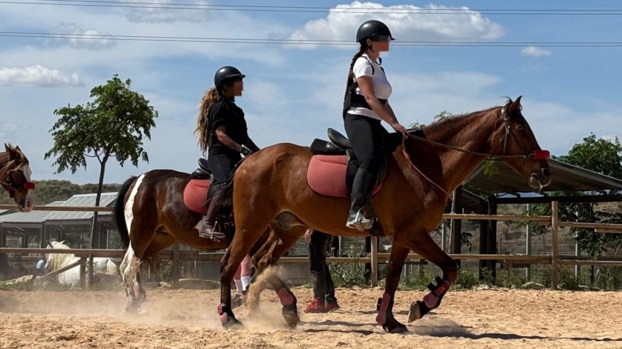 Los caballos de Centauro Quirón ayudarán a las víctimas de la violencia sexual