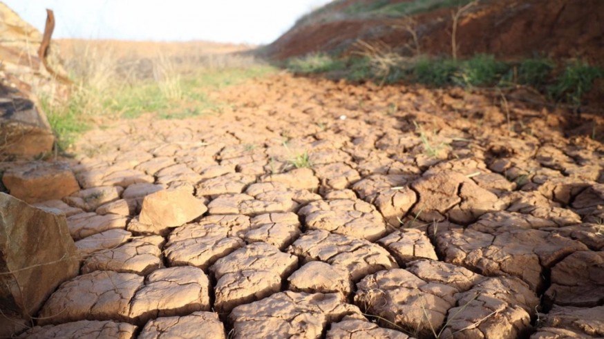 ASAJA pedirá en la Mesa de la Sequía riegos de socorro para los cultivos más afectados