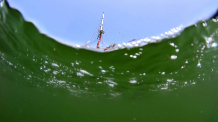 Contaminación Mar Menor. ANSE-WWF