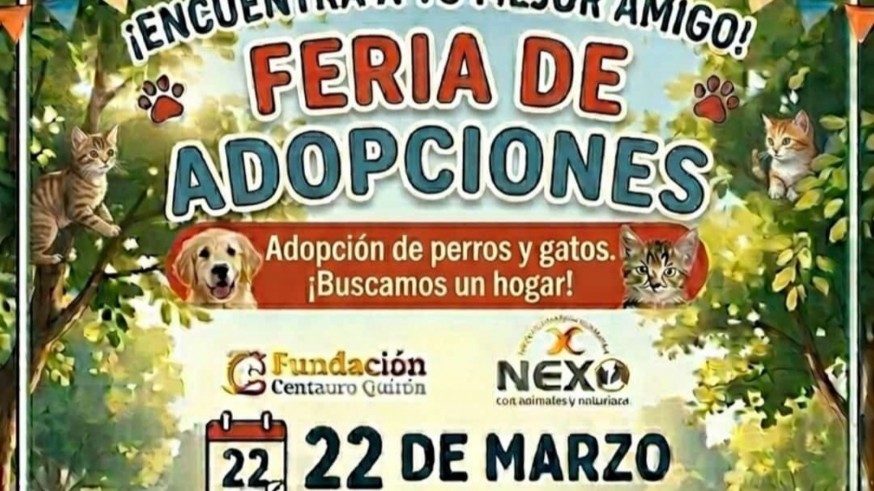 Nueva cita solidaria en Murcia para fomentar la adopción responsable de perros y gatos