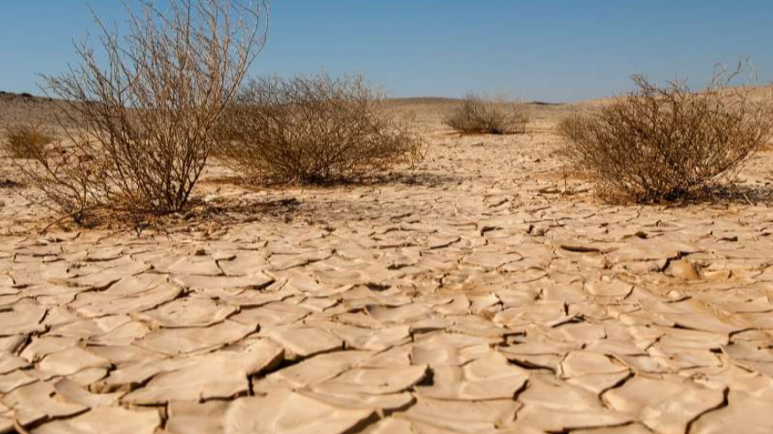 Transición Ecológica alerta sobre el riesgo de desertificación en casi un 75% del territorio nacional