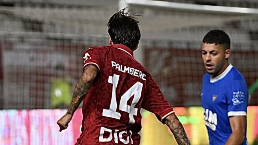 Palmberg
