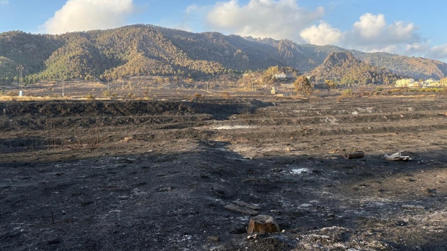 El incendio de Los Garres evoluciona favorablemente, aunque sigue sin estar estabilizado