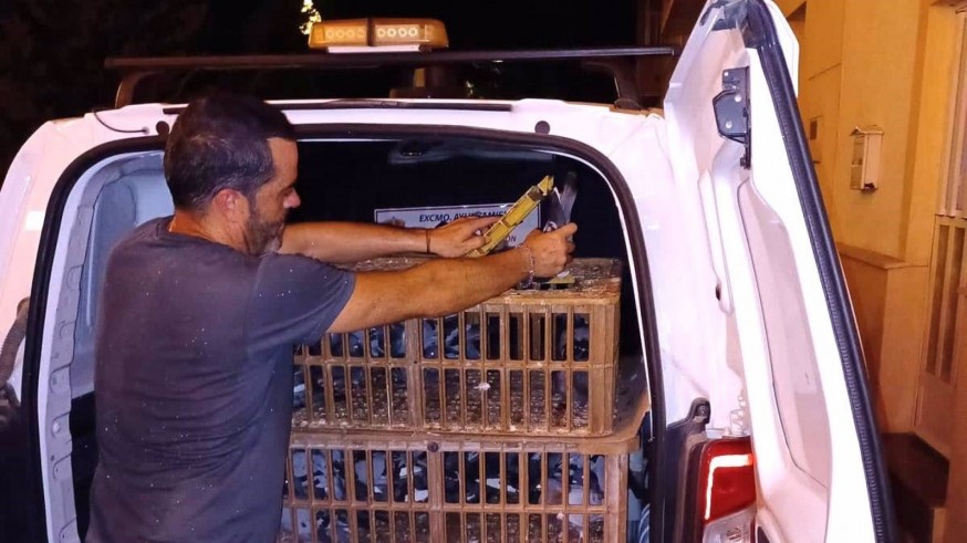 Retiran casi dos centenares de palomas de las inmediaciones del Santuario de la Virgen de las Huertas de Lorca