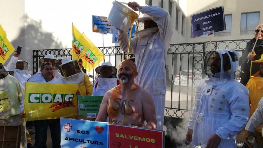 Los apicultores protestan este martes contra el "abandono" de las administraciones
