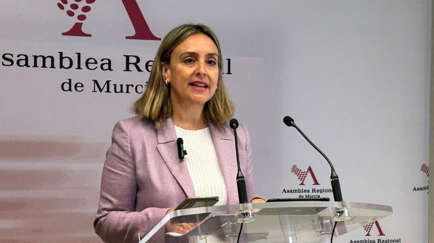 La consejera de Política Social insiste en revocar la orden de viviendas para menores migrantes