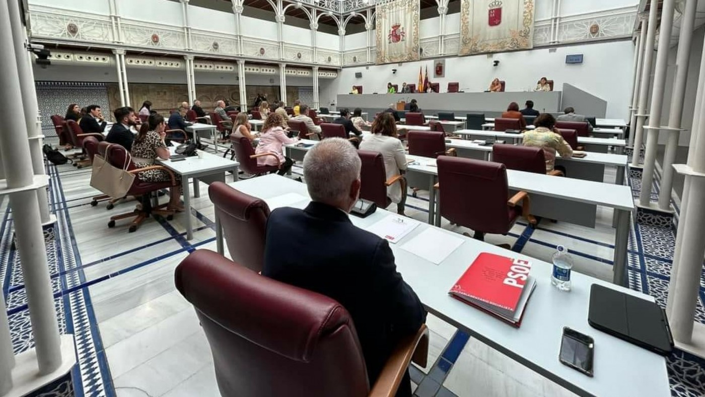 El consejero de Fomento defiende en la Asamblea el proyecto del Gorguel