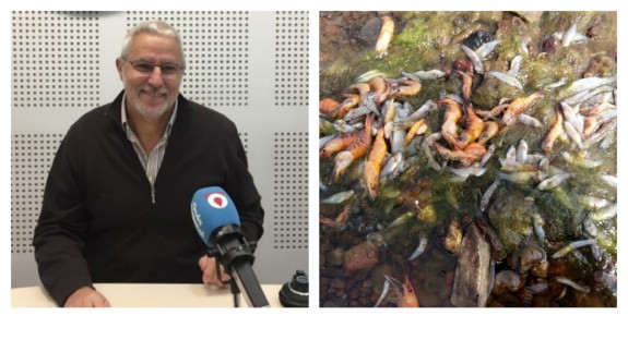 Pérez Ruzafa: "No descarto la aparición de más peces muertos si no se evita la entrada de agua con nutrientes"