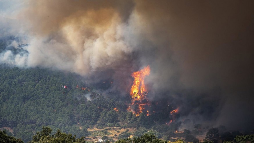 Música y solidaridad: 'Café y Copla' dedica una copla a Madrid por los incendios