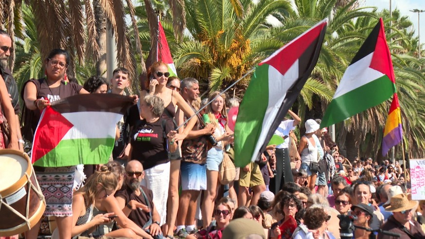 Thunberg apela a la "resistencia" ante el "fracaso" de los políticos en Gaza