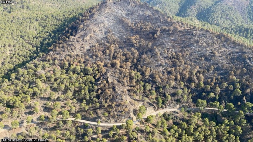 Extinguido el incendio de El Sequén