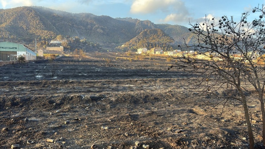 La Región está en situación de emergencia climática, según el Observatorio de la Sostenibilidad 