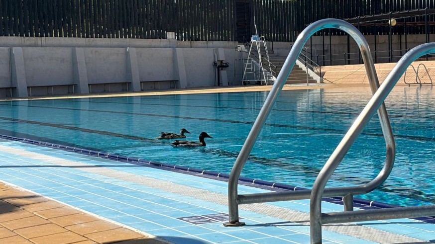 Murcia inicia la apertura de sus piscinas municipales el 9 de junio con un aumento de plazas y refuerzo en seguridad