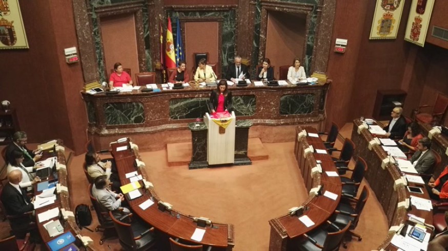 Pleno de la Asamblea Regional