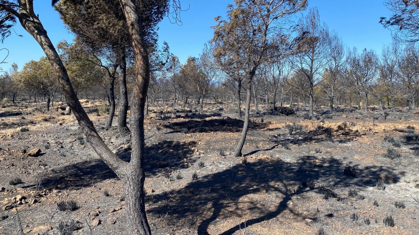 Controlado el incendio en Sierra Espuña tras quemar unas 400 hectáreas